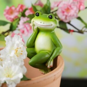Blumentopfhänger Frosch - niedliche Dekofigur als Topfhänger - Tier...
